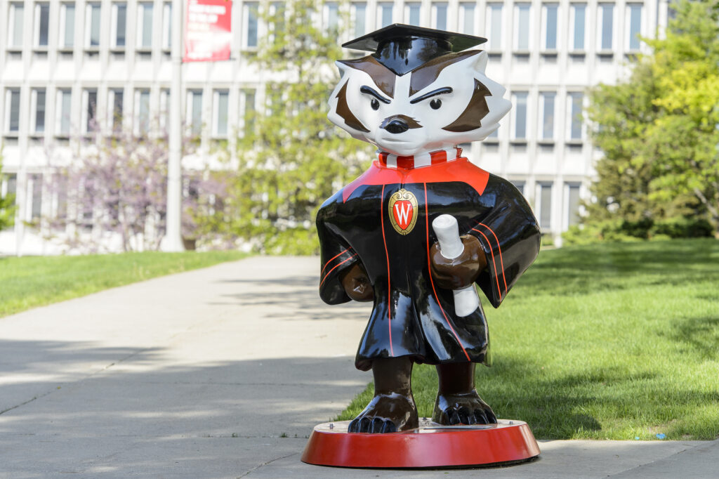Graduation Bucky