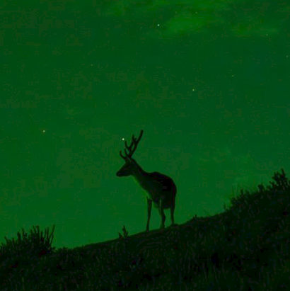 Chasing the Dark